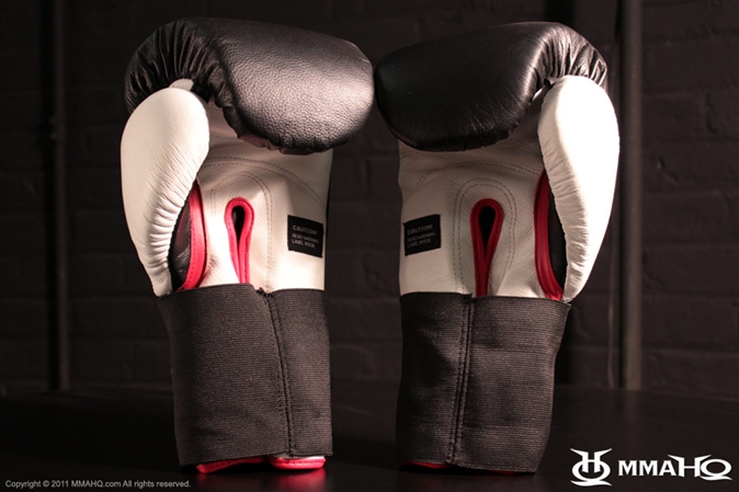 sparring gear